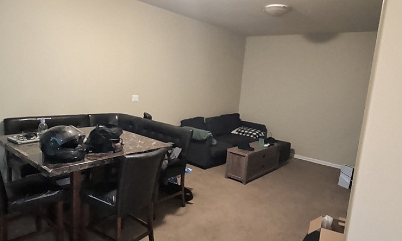 Daylight Basement Su...