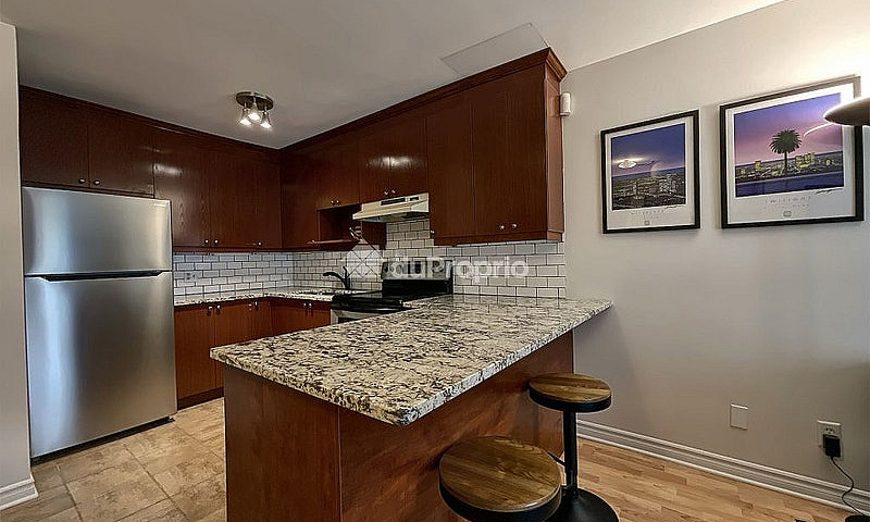 Large 1 Bedroom 1 Ba...
