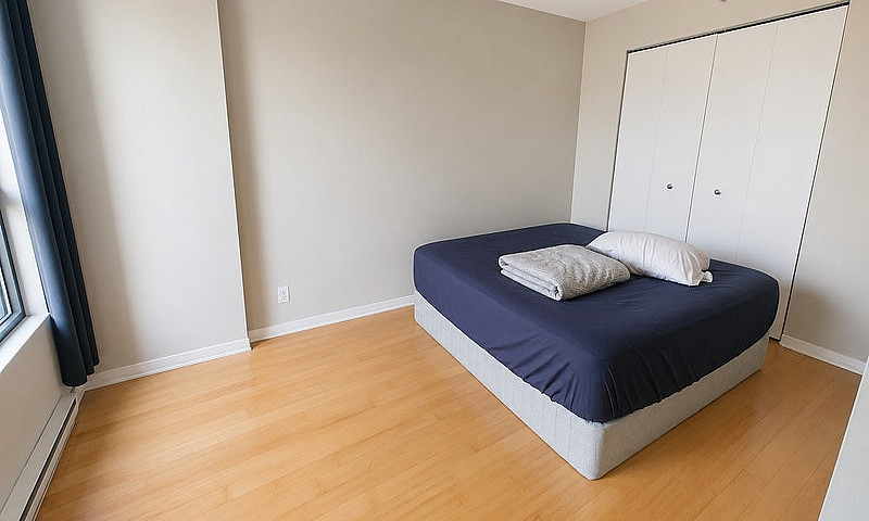 Fully Furnished Apar...