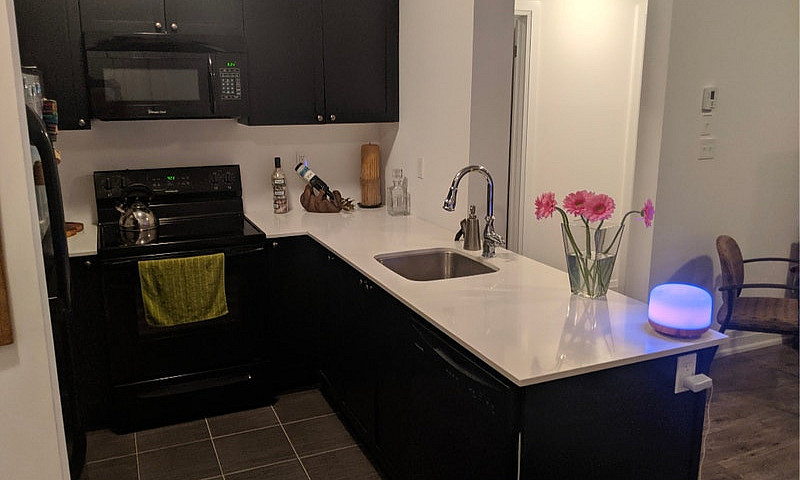 1 Bedroom + Den Cond...