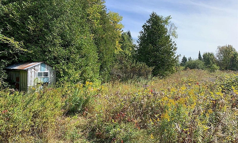 60 Acres Of Vacant L...