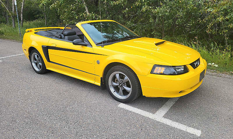 2004 Mustang Gt Conv...