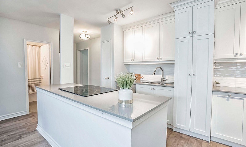 1 Bed 1 Bath - Apart...