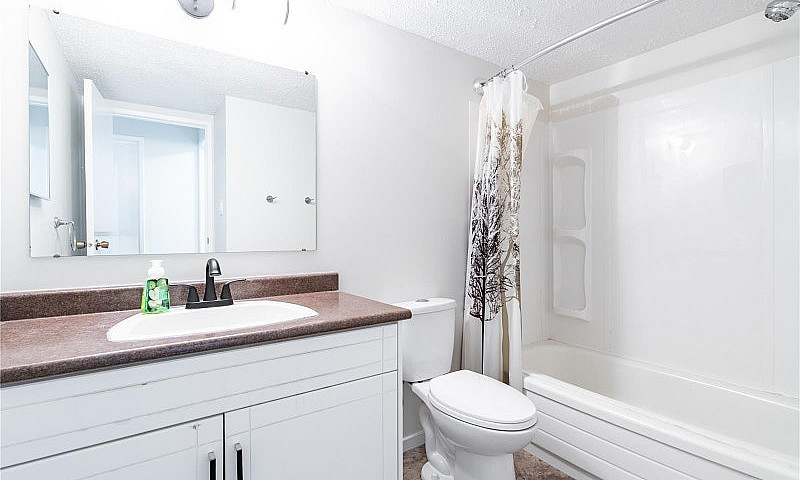 2 Beds 1 Bath - Apar...