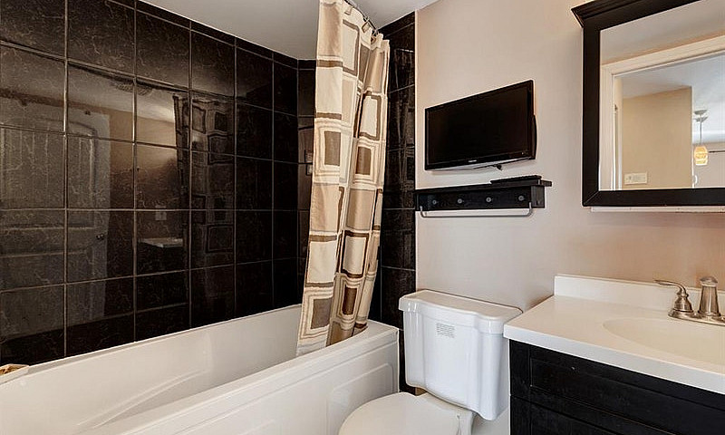 Fully Furnished 1 Be...