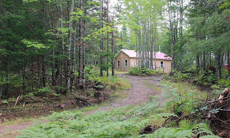 Camp And 25 Acre Woo...