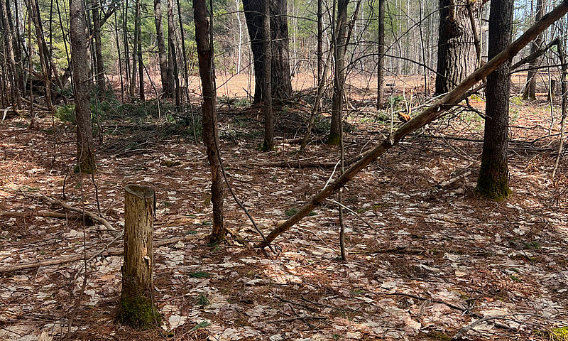 Over An Acre-Lot 6 4...