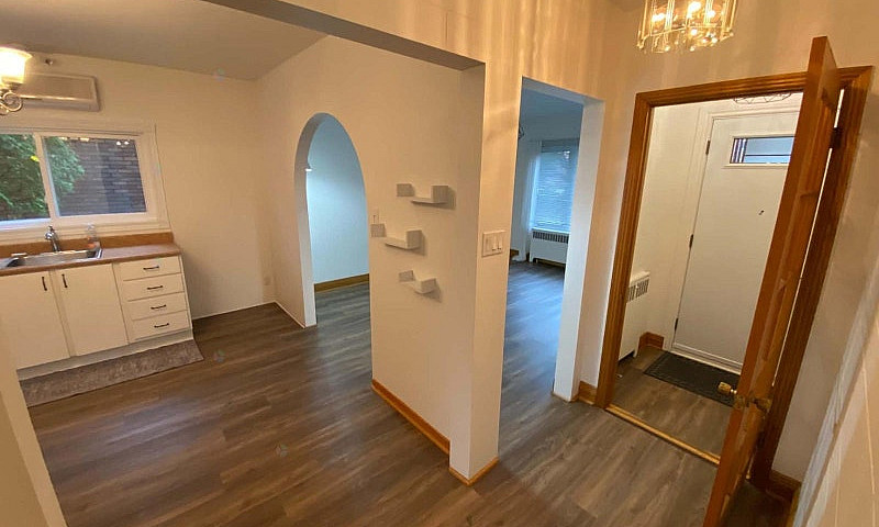 3 Bedroom House For ...