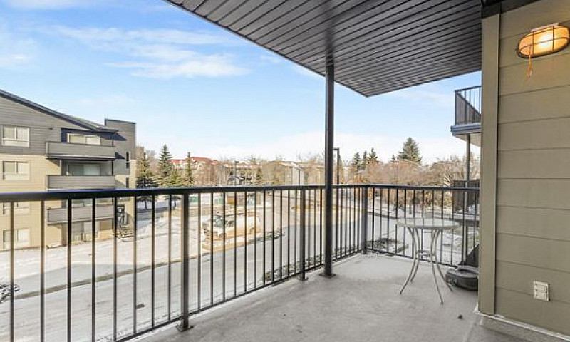 Stylish, Move-In Rea...