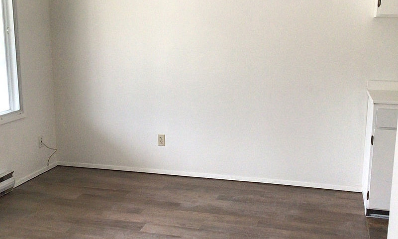 1Br 1Ba In Rosemont ...
