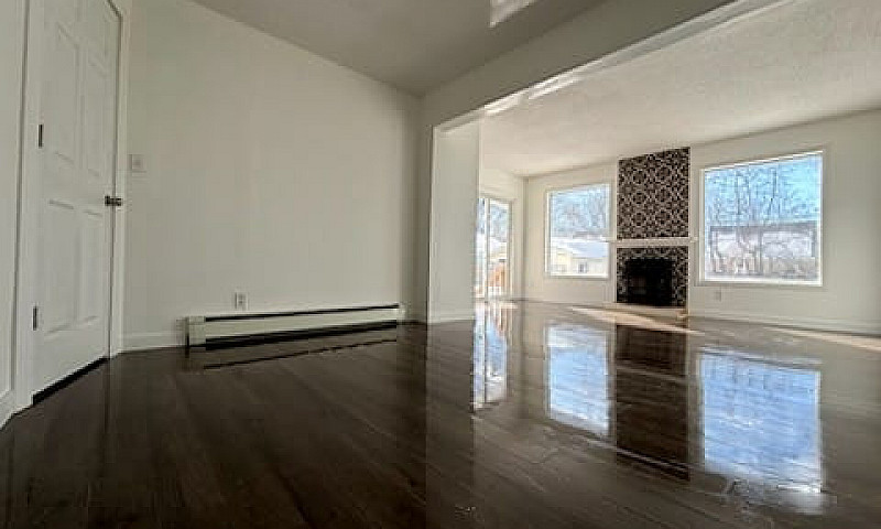 Newly Renovated 3 Be...