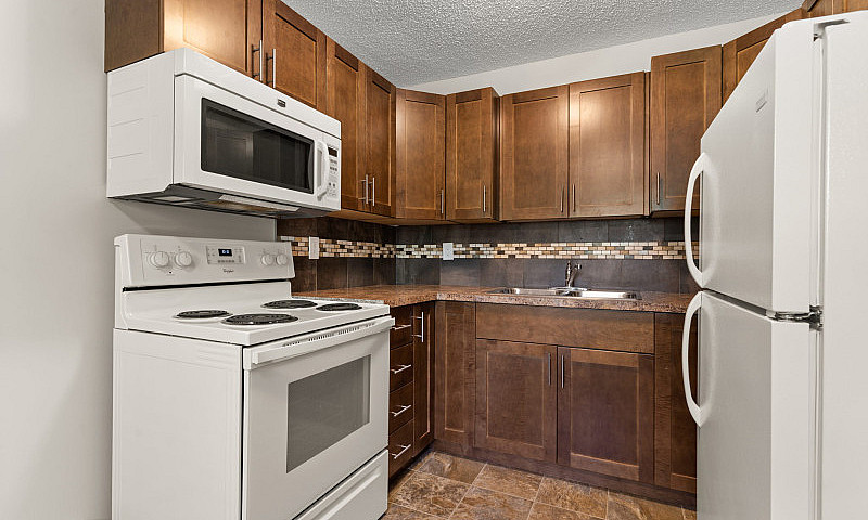 1 Bedroom Apartment ...