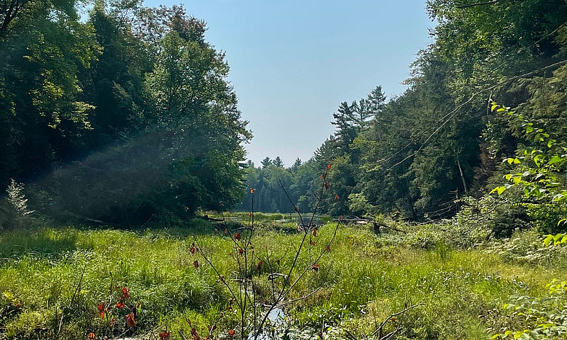 212 Acres Muskoka La...