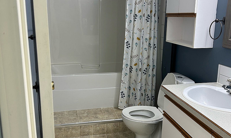 1 Bedroom Basement S...