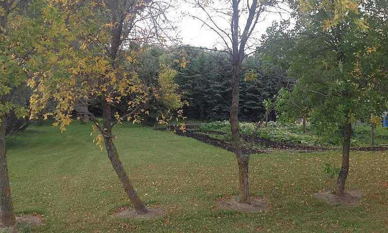 1/2 Acre Lot...