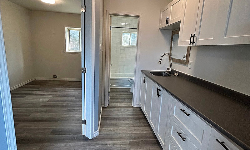 Brand New Reno Groun...