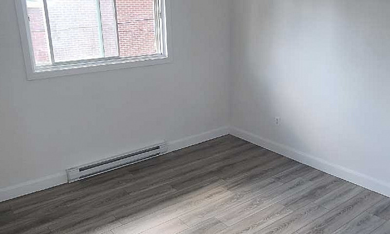 Renovated 4 1/2 Apar...