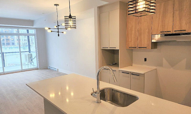 New 1 Bedroom Condo ...