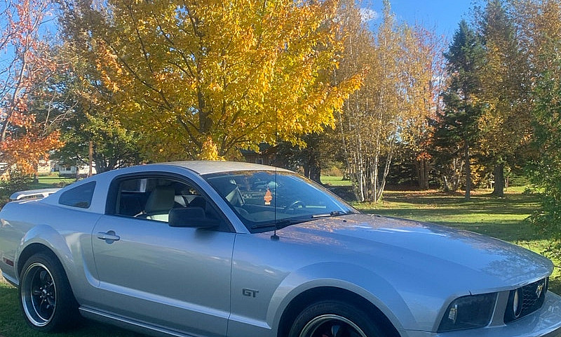 2005 Mustang Gt...