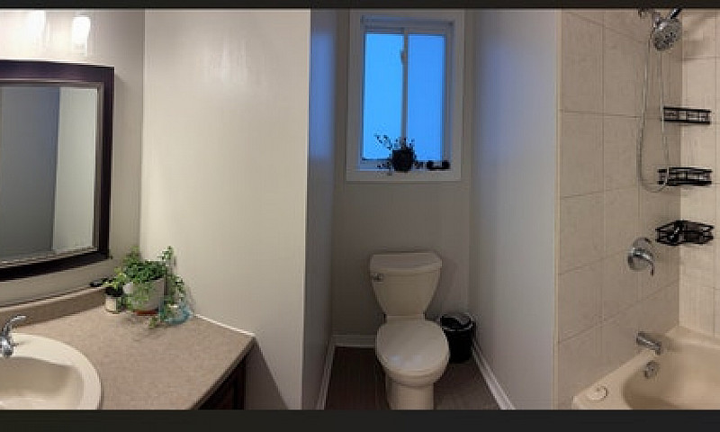 Spacious Private Bas...