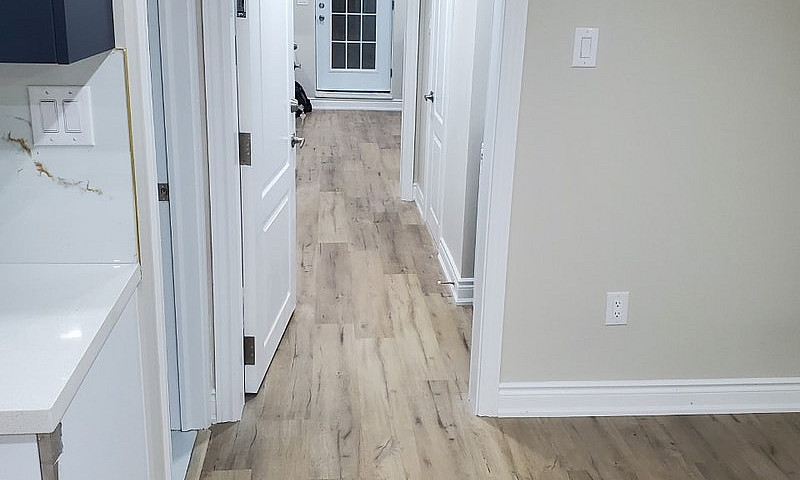 One Bedroom Basement...