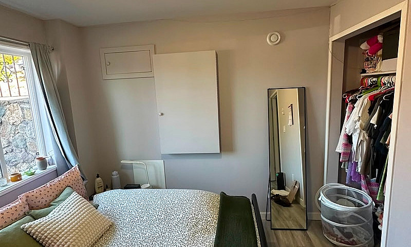 Newly Legal Suite At...