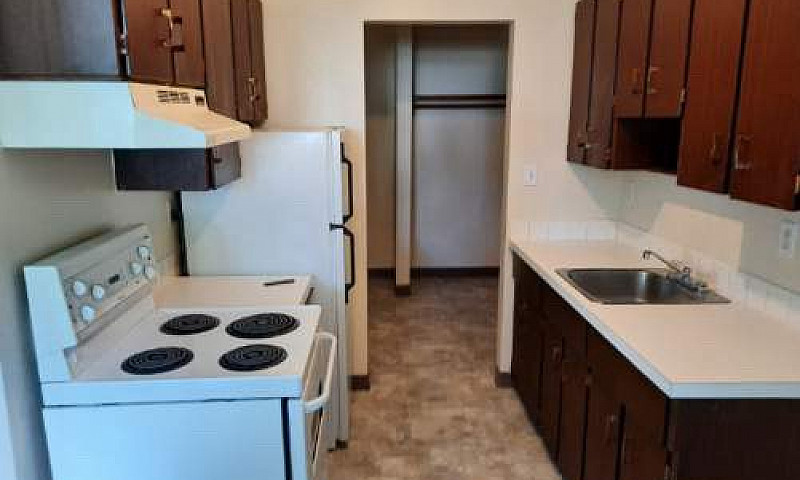 1 Bedroom Apartment ...