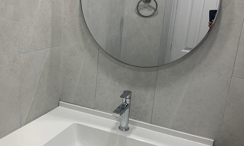 Bright 2 1/2 Bachelo...