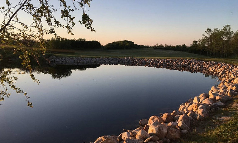 Your Dream Acreage I...