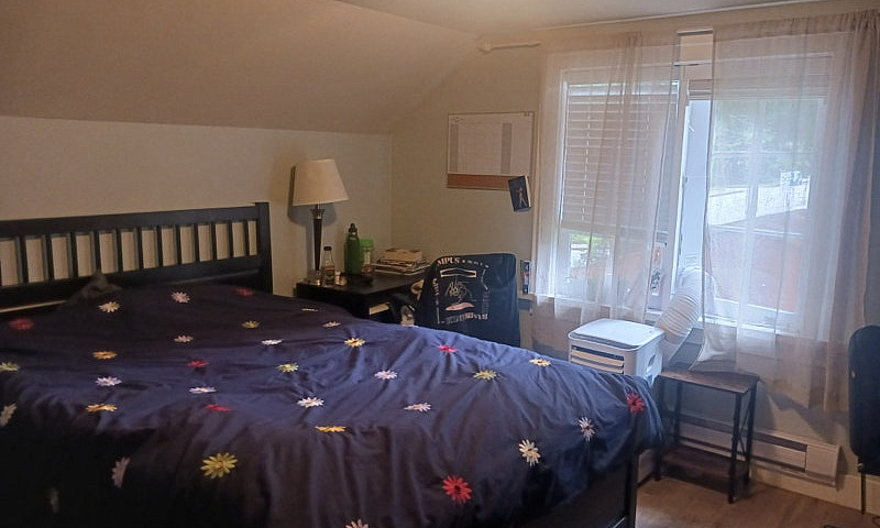 1 Bedroom 2-Level Fu...