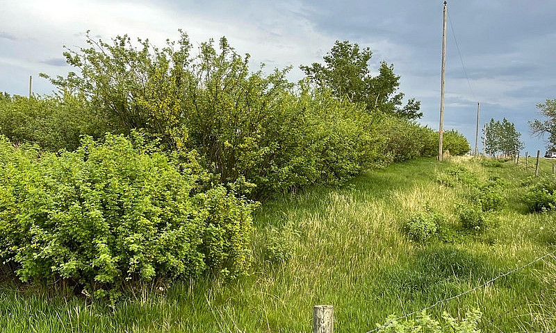 1 Acre  Lot...