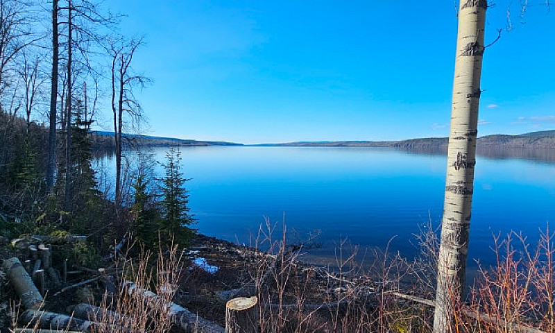 Babine Lake Cabin At...