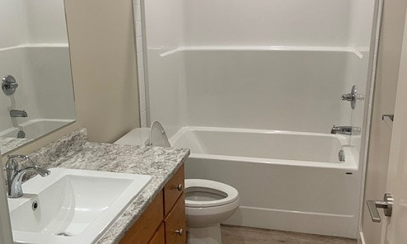 1 Bed 1 Bath Suite F...