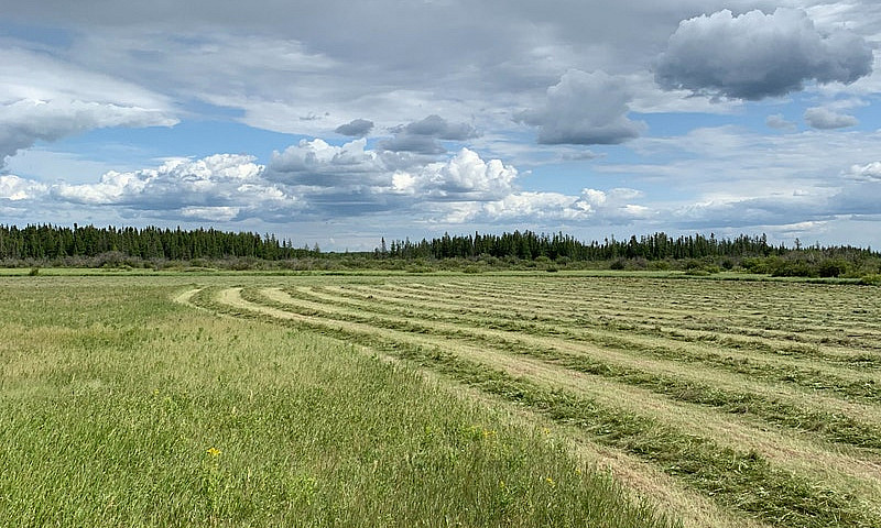 960 Acres Of Farm An...