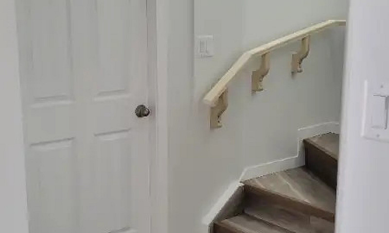 One Bedroom Basement...