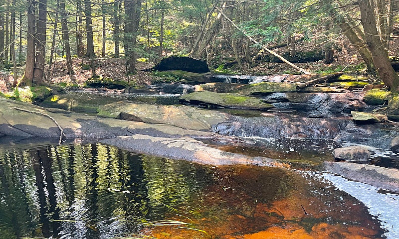 212 Acres Muskoka La...