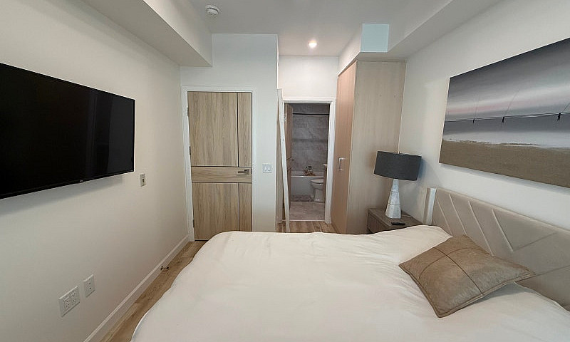Fully Furnished Luxu...