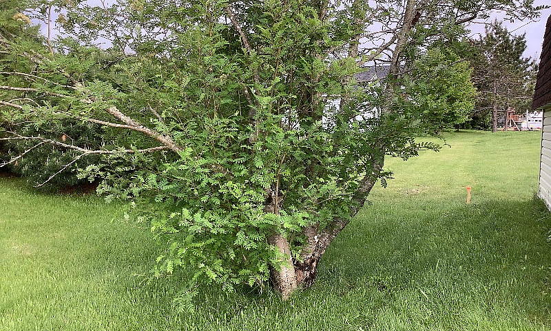 Land For Sale In Rex...