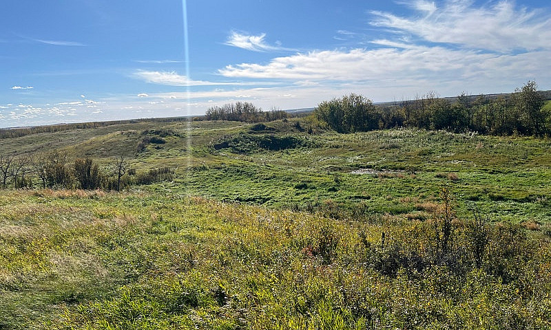 50 Acre Future...
