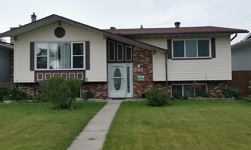 Bi-Level House For S...
