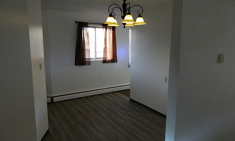 1 Bedroom Apartment ...