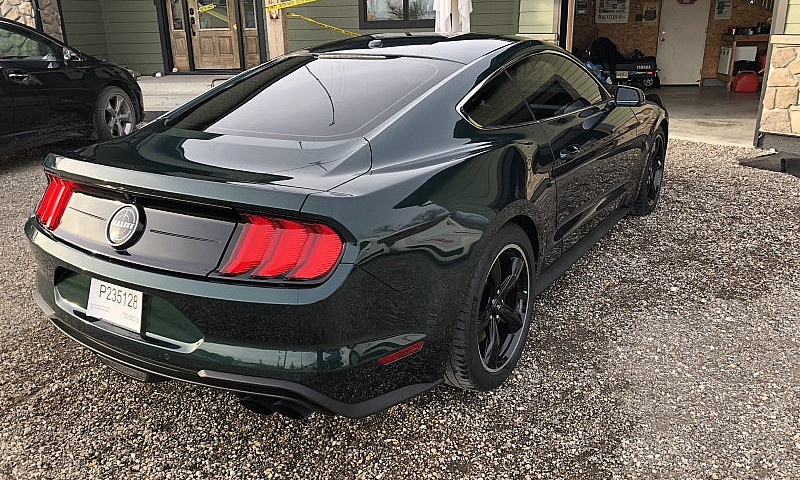 2019 Ford Mustang Bu...