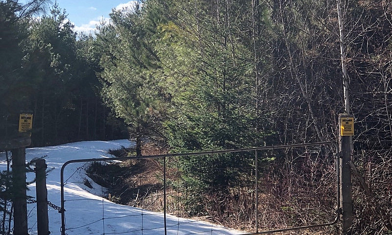 Terrain Boisé Pour C...