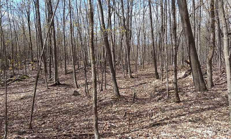 4.95 Acres For Sale ...
