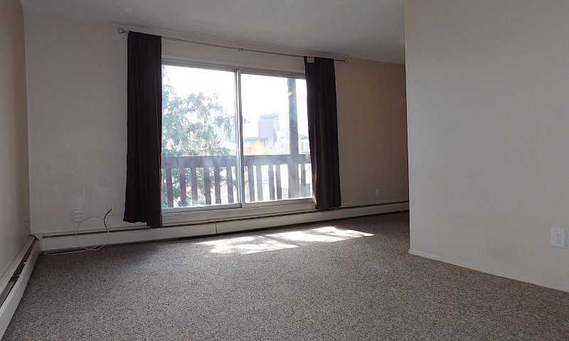 1 Bedroom Apartment ...