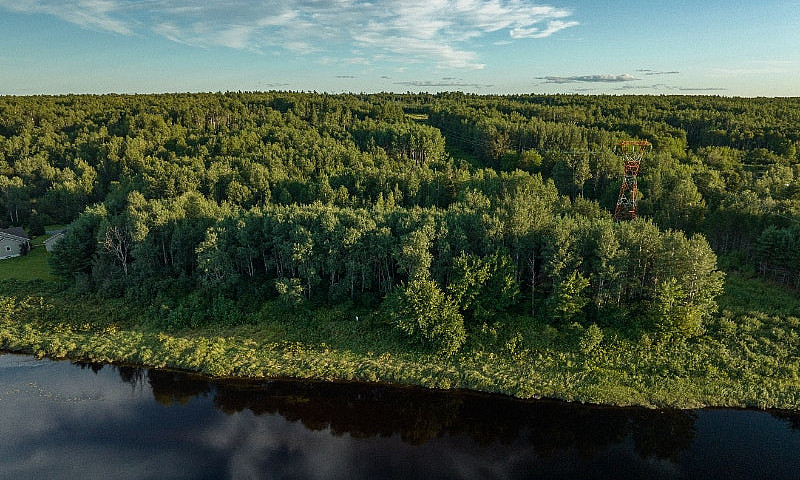 11 Acres Of Land Wit...