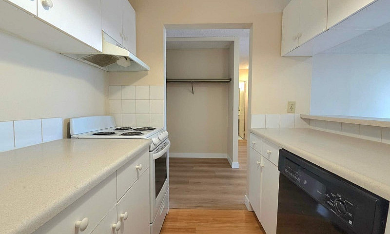 Downtown 1-Bedroom +...