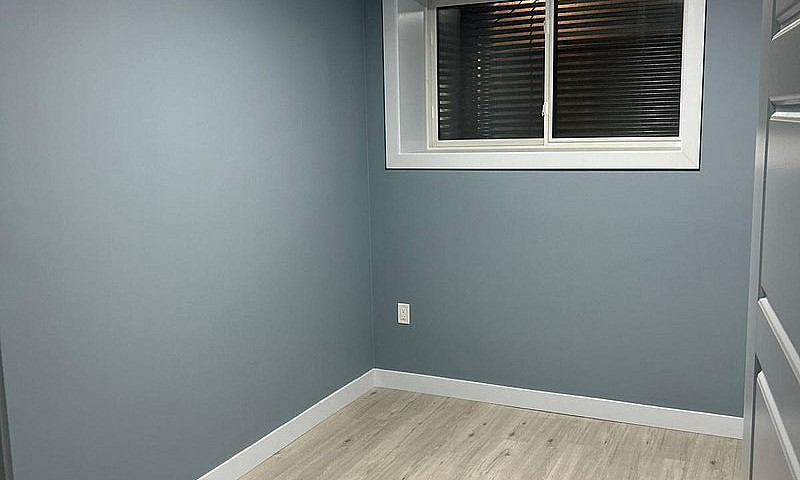 Rental Basement...