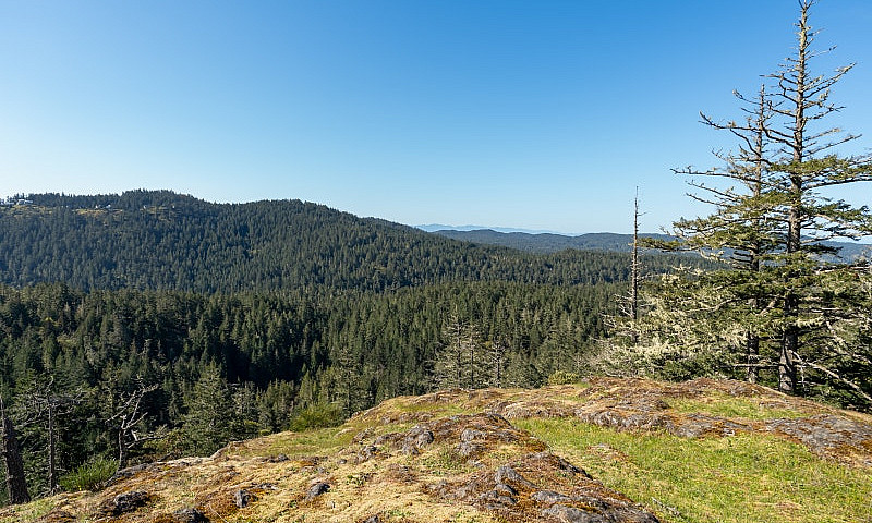 6.25 Acres - Build Y...