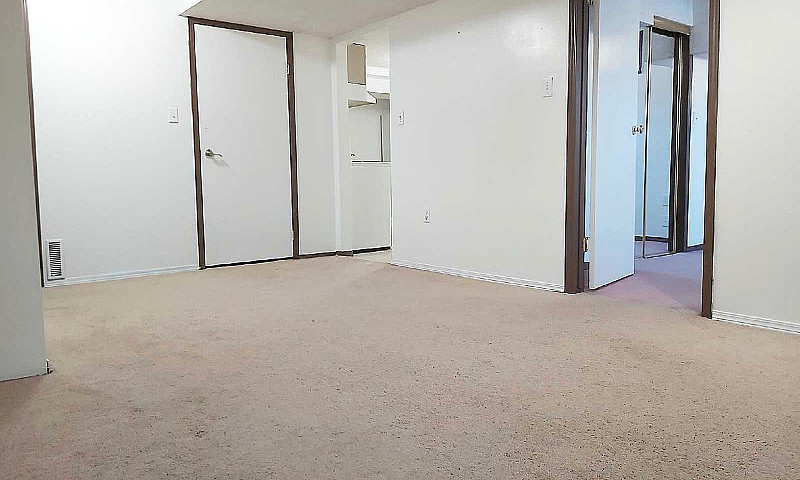 Walkout Basement Tem...